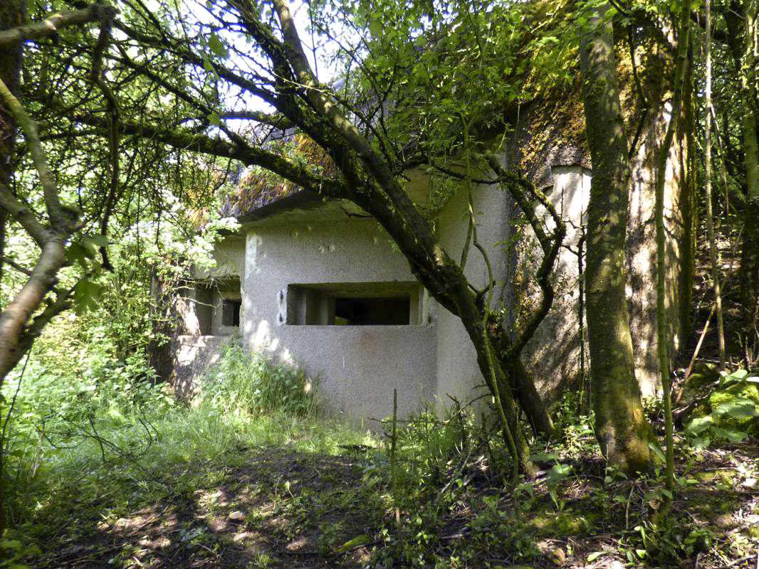 Ligne Maginot - B772 - LA COULONNIERE SUD - (Blockhaus pour canon) - 