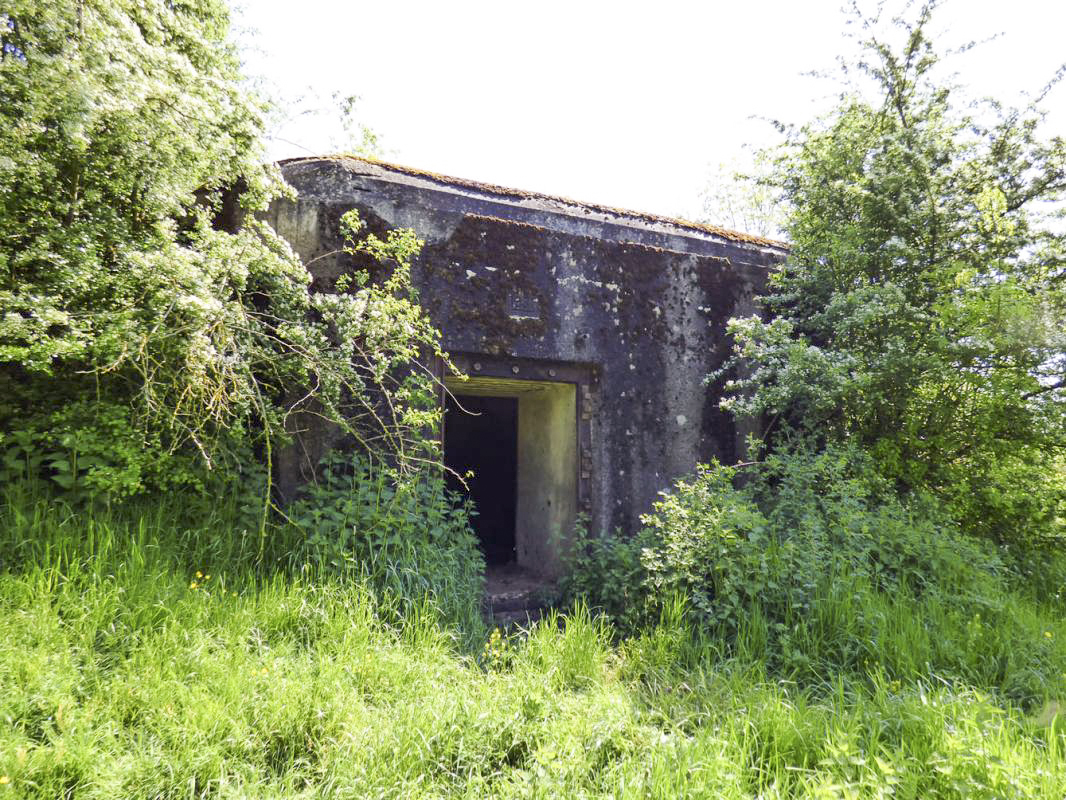 Ligne Maginot - B772 - LA COULONNIERE SUD - (Blockhaus pour canon) - 