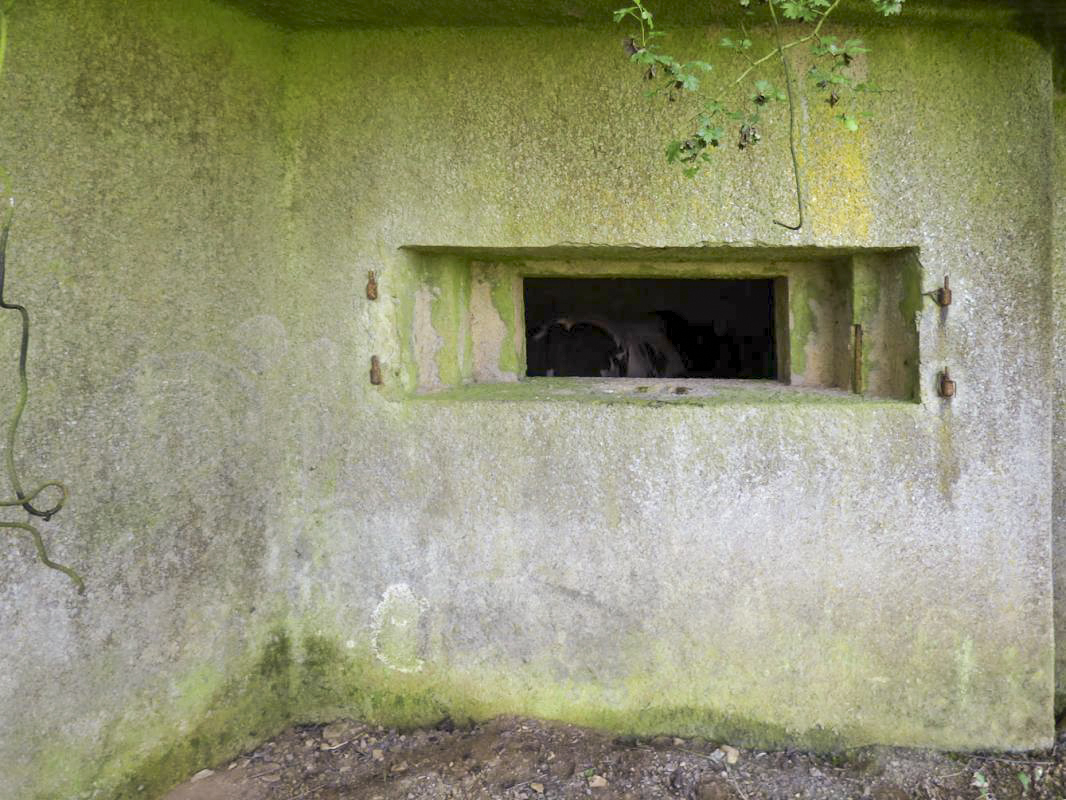Ligne Maginot - B771 - LA COULONNIERE NORD - (Blockhaus pour canon) -  - JMBrams