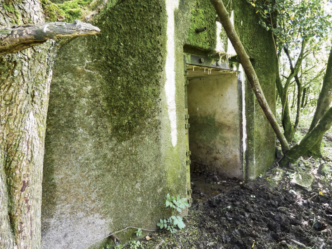 Ligne Maginot - B771 - LA COULONNIERE NORD - (Blockhaus pour canon) - 