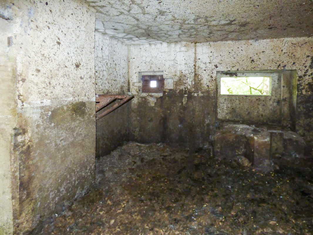 Ligne Maginot - B771 - LA COULONNIERE NORD - (Blockhaus pour canon) - 