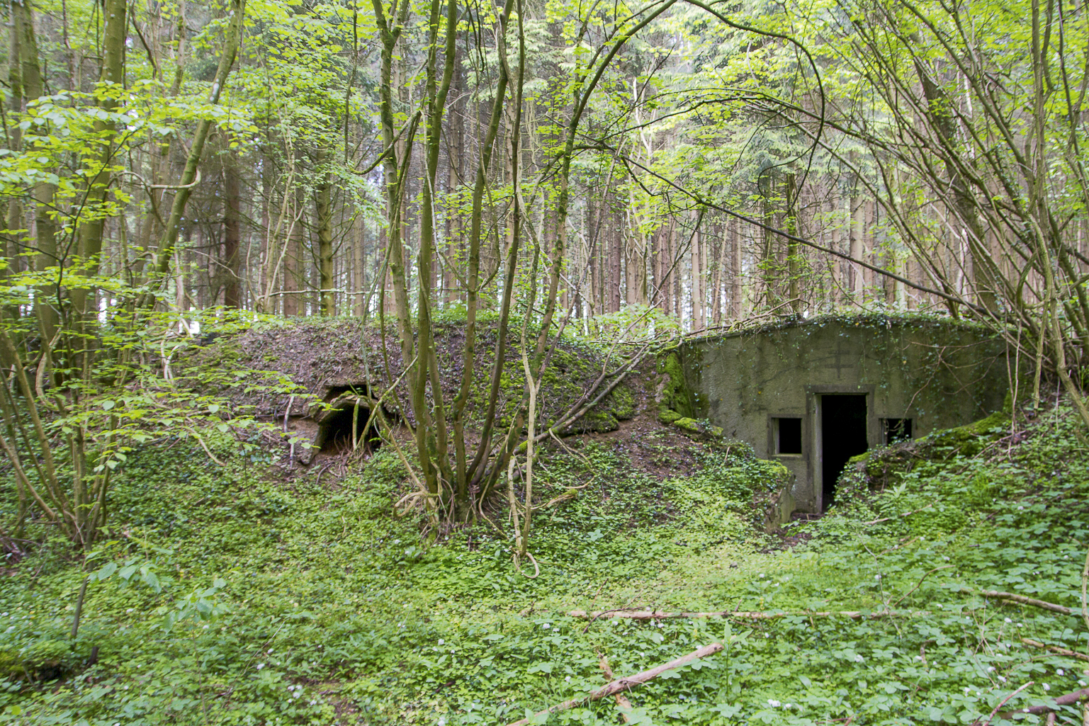 Ligne Maginot - GRAND LOH (6° CM) - (PC de Sous-Quartier) - Noter la niche de stockage sur la gauche de l'abri - Michel Teiten
