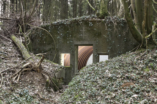 Ligne Maginot - GRAND LOH (6° CM) - (PC de Sous-Quartier) - L'autre alvéole - www.arnaultjl-photo.com