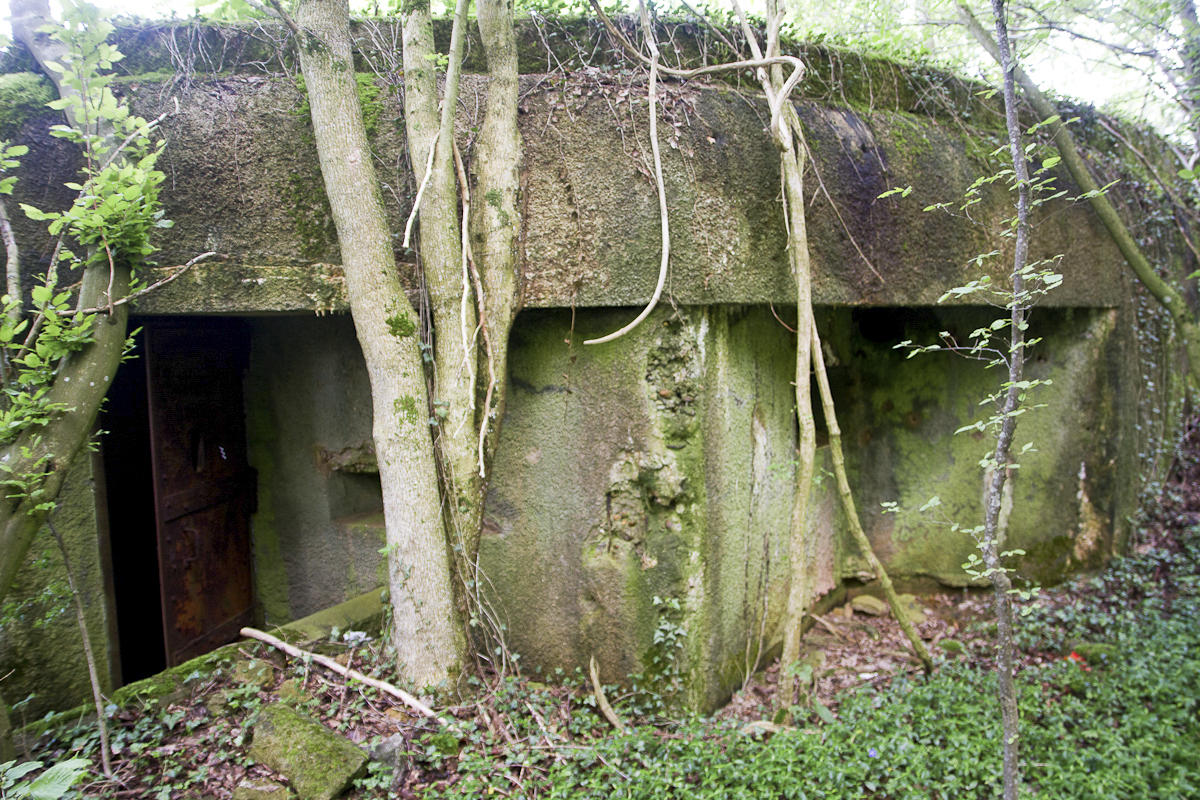 Ligne Maginot - CB14 - (Blockhaus pour canon) - Entrée et créneau