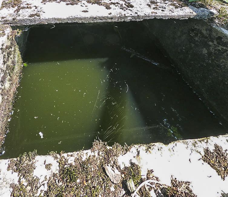 Ligne Maginot - A43 - CROIX MAJOT NORD - (Casemate d'infanterie) - 
