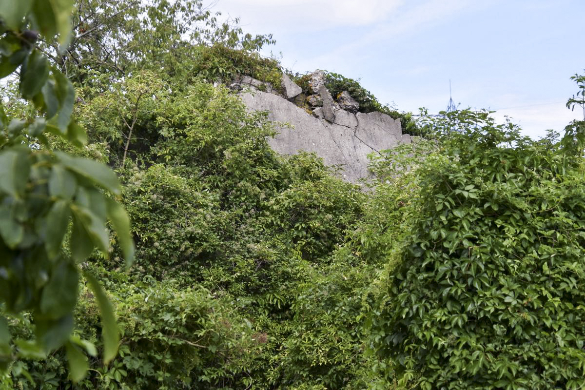 Ligne Maginot - 52/3 - CHAPELLE SAINTE COLOMBE - (Casemate d'infanterie - Double) - Ruine dépassant du bosquet