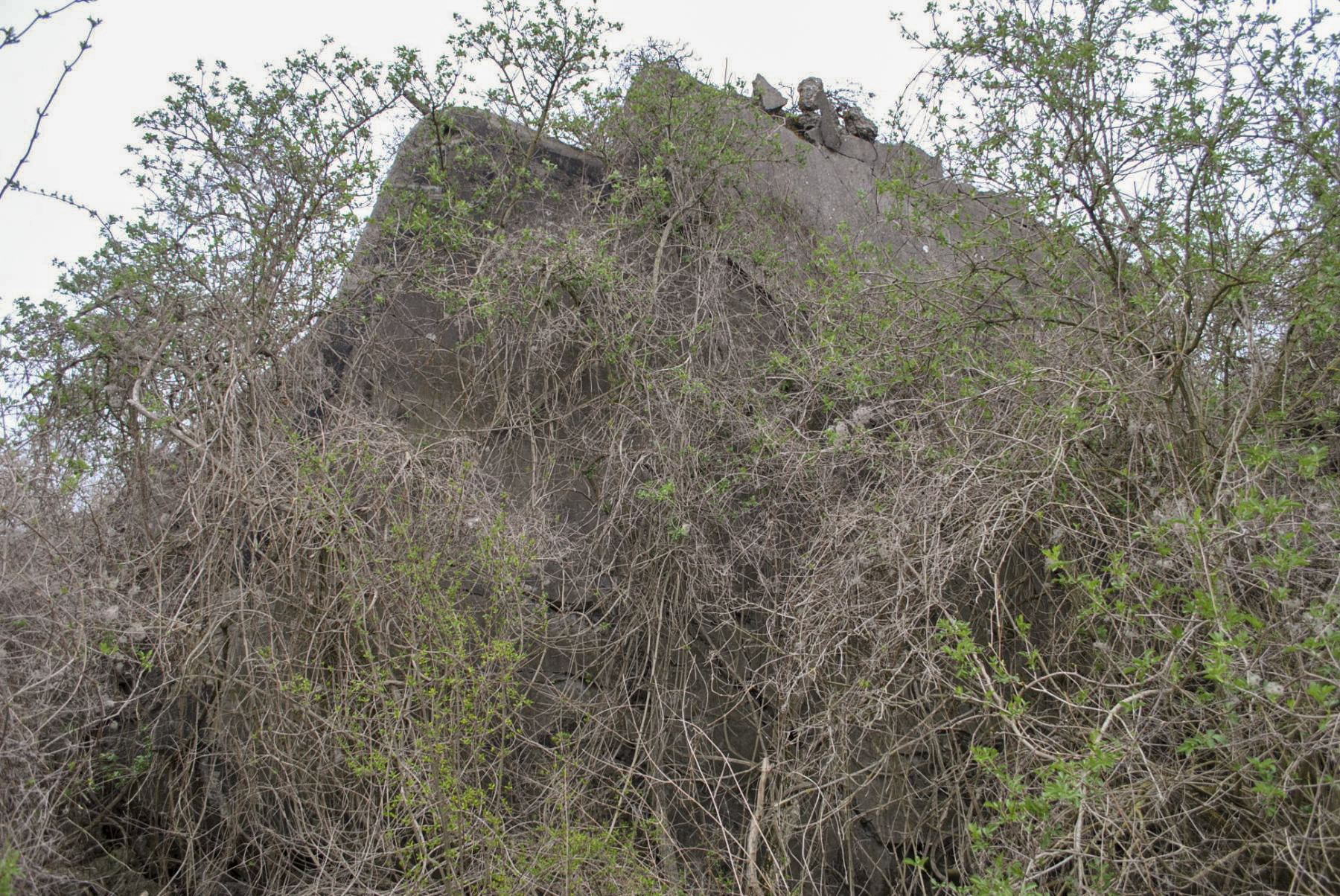 Ligne Maginot - 52/3 - CHAPELLE SAINTE COLOMBE - (Casemate d'infanterie - Double) -  - Nicolas MULLER