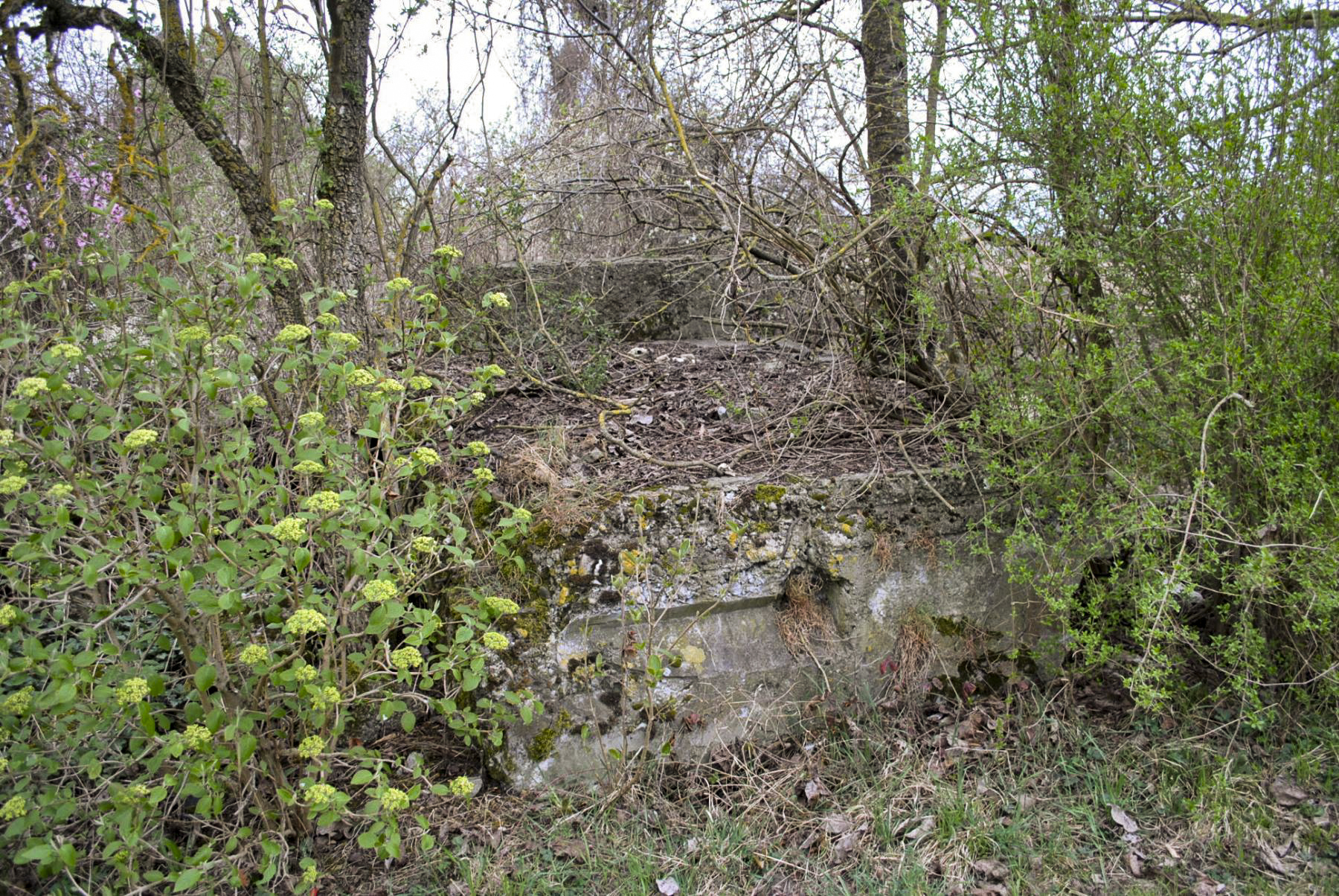 Ligne Maginot - 52/3 - CHAPELLE SAINTE COLOMBE - (Casemate d'infanterie - Double) - Le blockhaus est entièrement détruit. - Nicolas MULLER