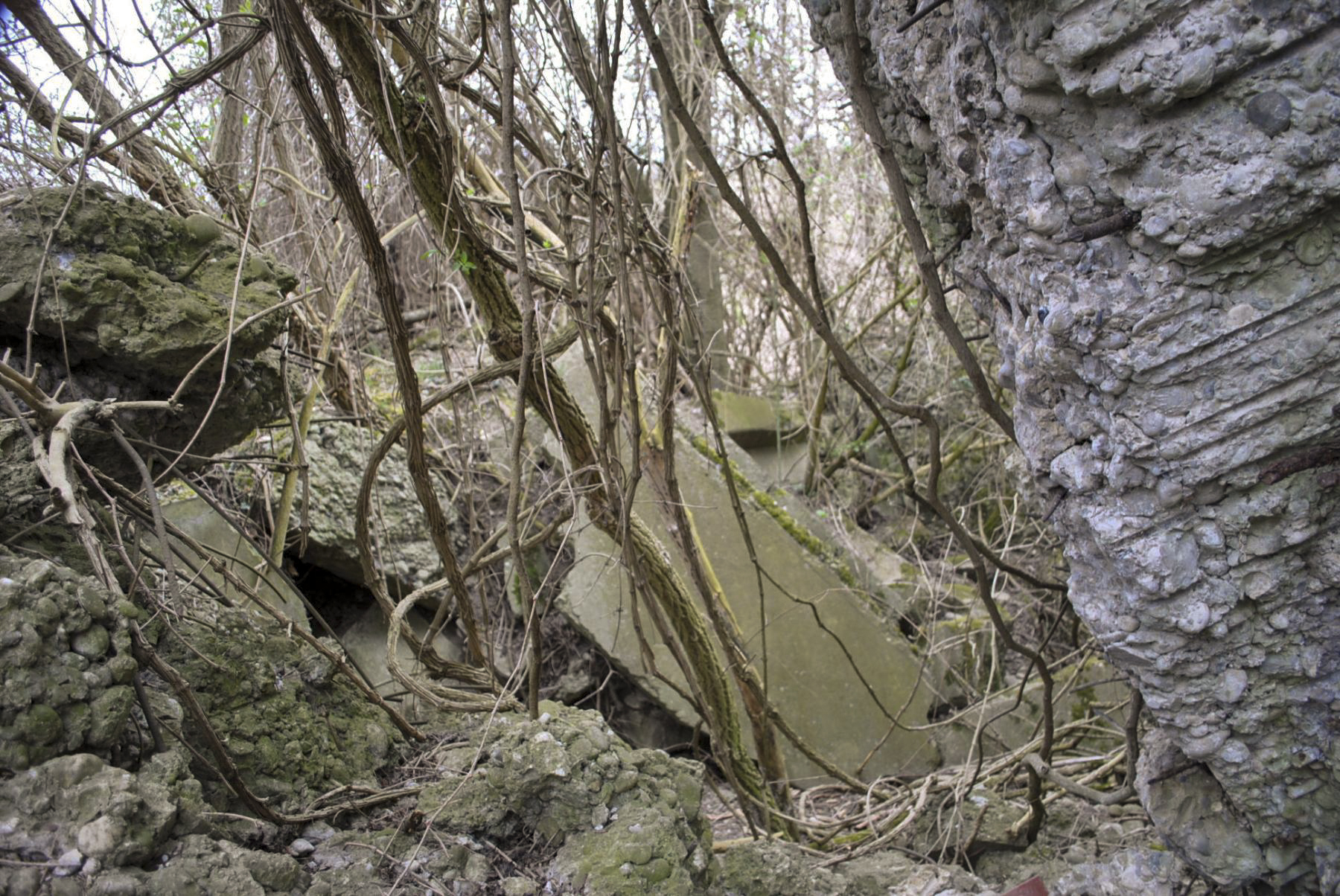 Ligne Maginot - 52/3 - CHAPELLE SAINTE COLOMBE - (Casemate d'infanterie - Double) -  - Nicolas MULLER