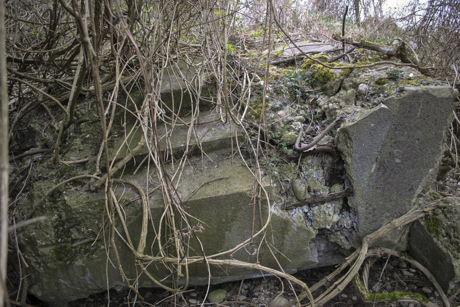 Ligne Maginot - 52/3 - CHAPELLE SAINTE COLOMBE - (Casemate d'infanterie - Double) -  - Nicolas MULLER