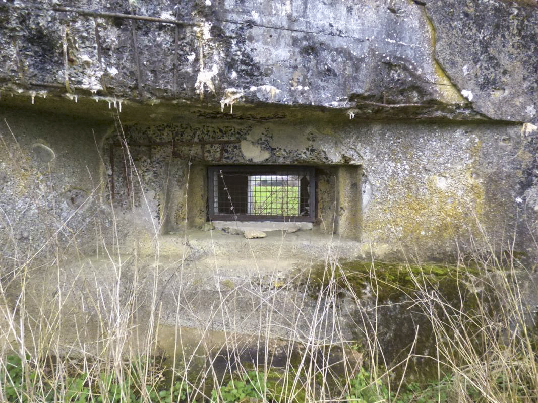 Ligne Maginot - B776 - LES ROLIVEAUX - (Blockhaus pour canon) - 