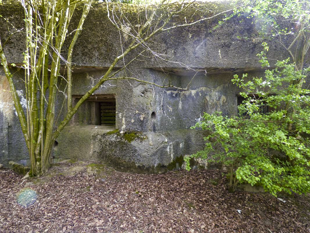 Ligne Maginot - A53 - BELHOMME - (Casemate d'infanterie - Double) - 