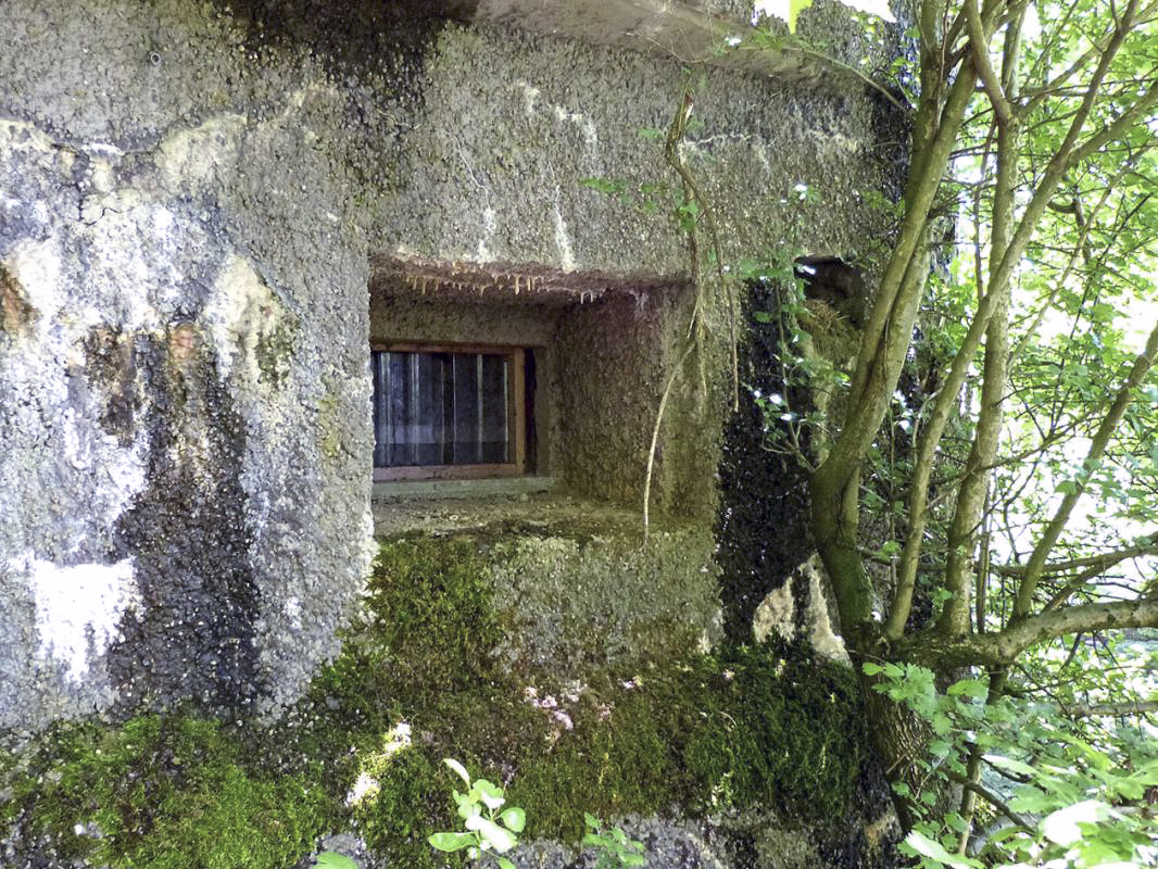 Ligne Maginot - A53 - BELHOMME - (Casemate d'infanterie - Double) - Flanquement gauche