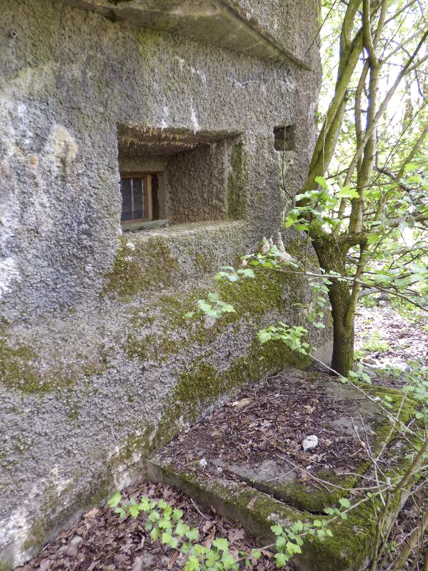 Ligne Maginot - A53 - BELHOMME - (Casemate d'infanterie - Double) - 