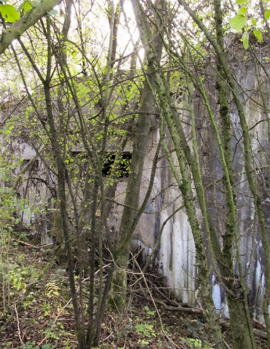 Ligne Maginot - A54 - CROIX BLONDEAU - (Casemate d'infanterie - Simple) - 