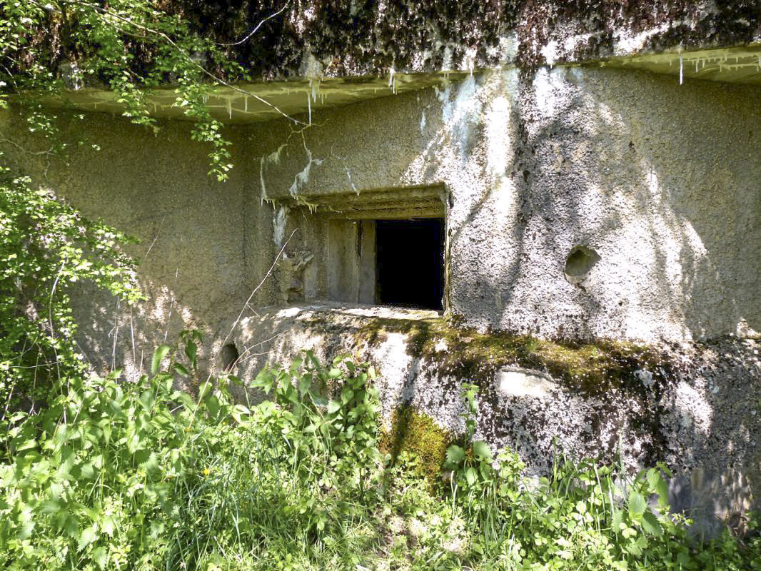 Ligne Maginot - A55 - CENSE PICOT - (Casemate d'infanterie - Double) - 