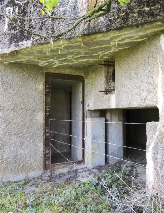 Ligne Maginot - A55 - CENSE PICOT - (Casemate d'infanterie - Double) - 