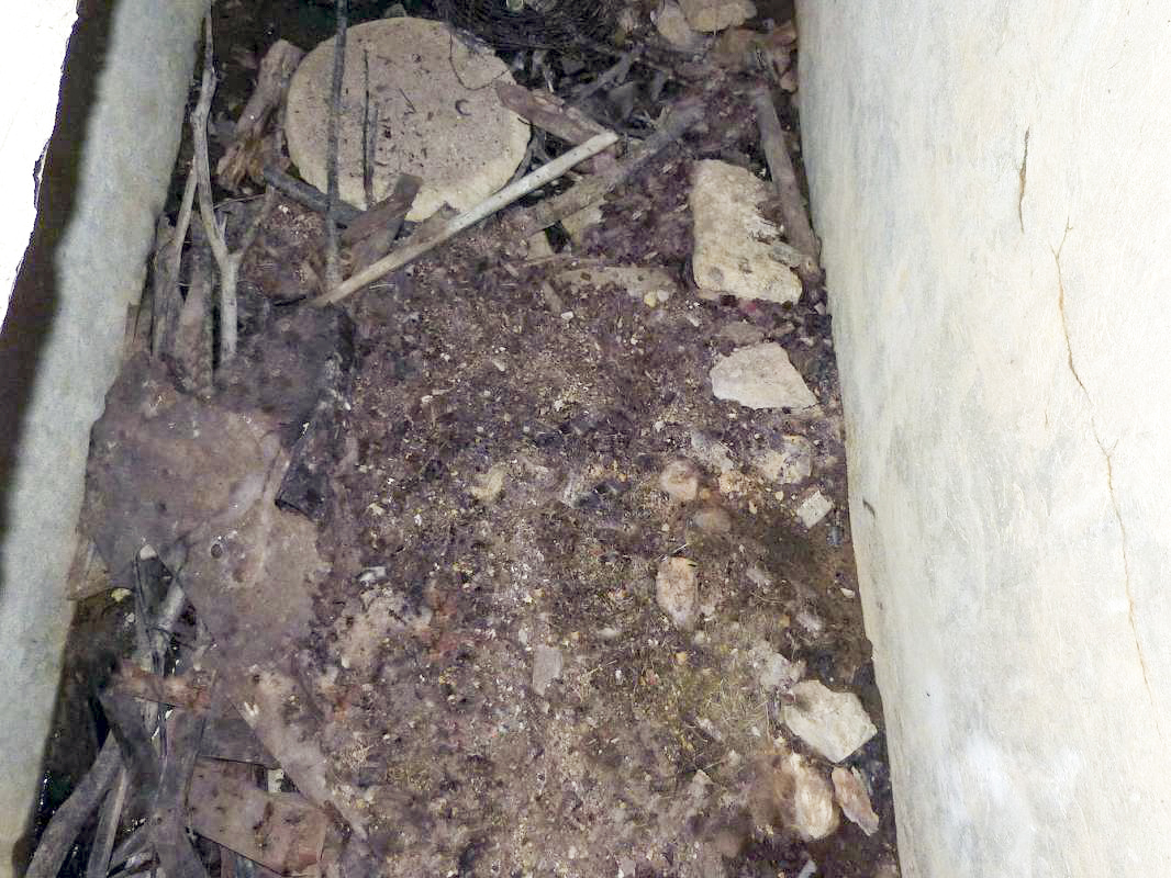 Ligne Maginot - A55 - CENSE PICOT - (Casemate d'infanterie - Double) - Etage inférieur