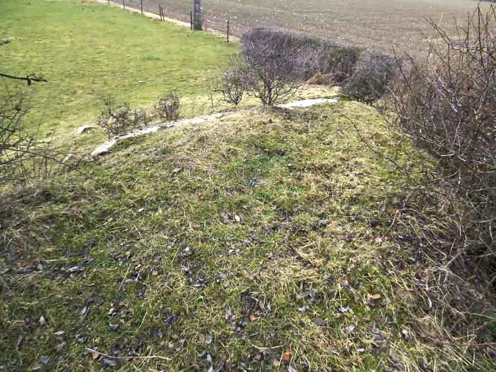 Ligne Maginot - BA92 - PETIT HONGREAU NORD-EST - (Blockhaus pour canon) - 