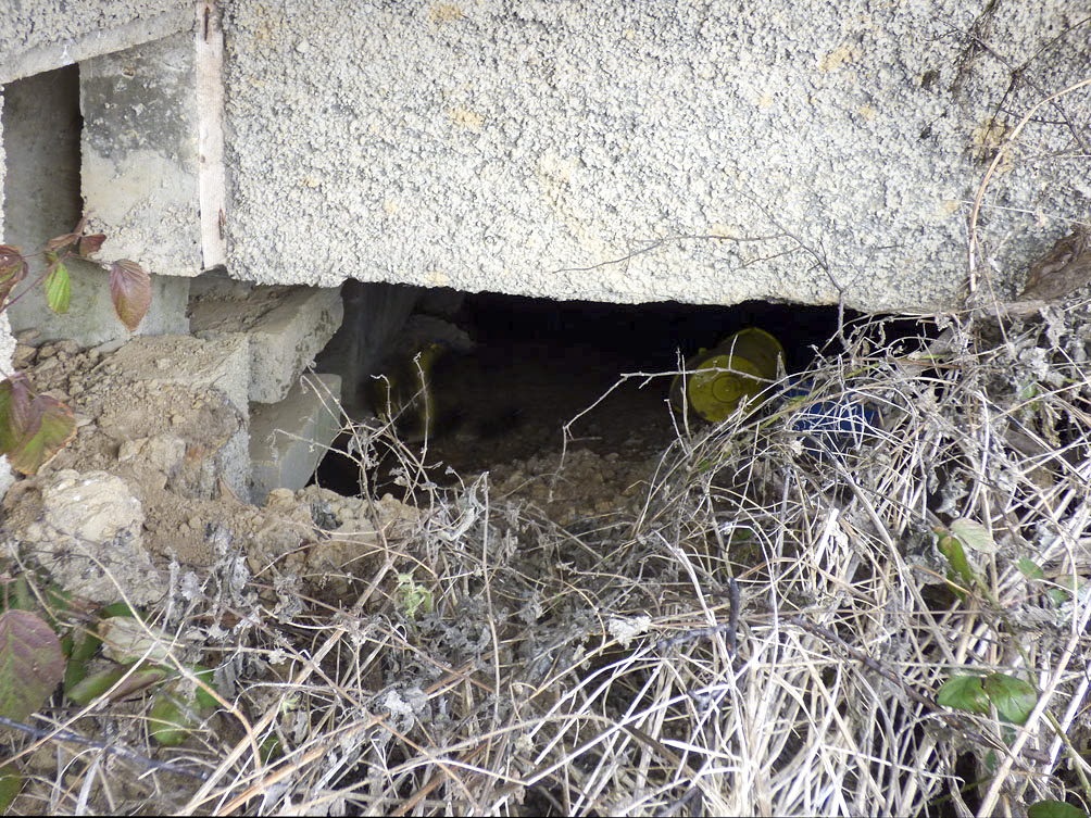 Ligne Maginot - A62 - PETIT HONGREAU SUD - (Casemate d'infanterie - Simple) - 