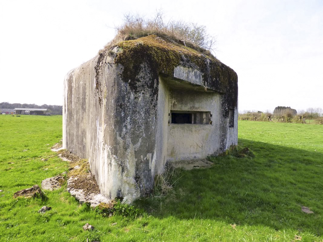 Ligne Maginot - B799 - L'ANGOUNERIE SUD - (Blockhaus pour canon) - 