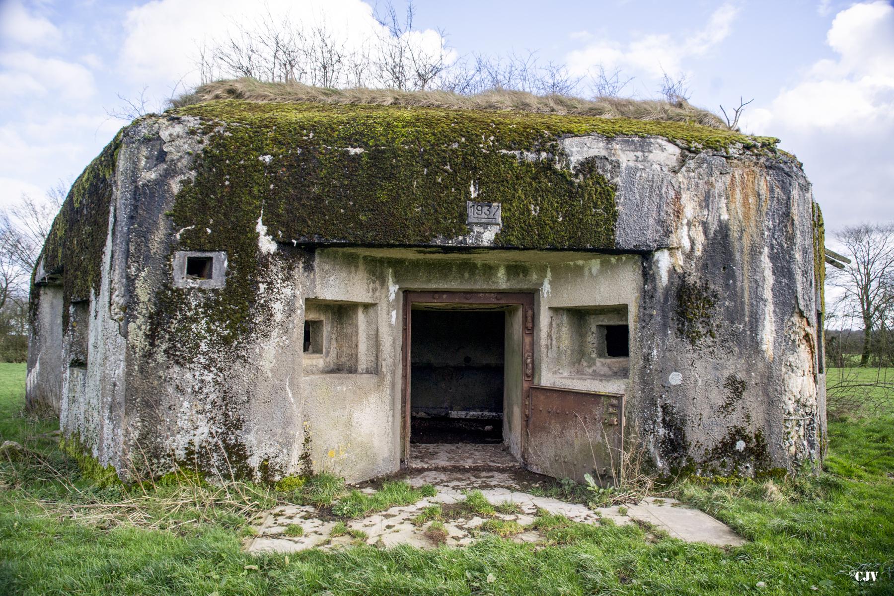 Ligne Maginot - B799 - L'ANGOUNERIE SUD - (Blockhaus pour canon) - 