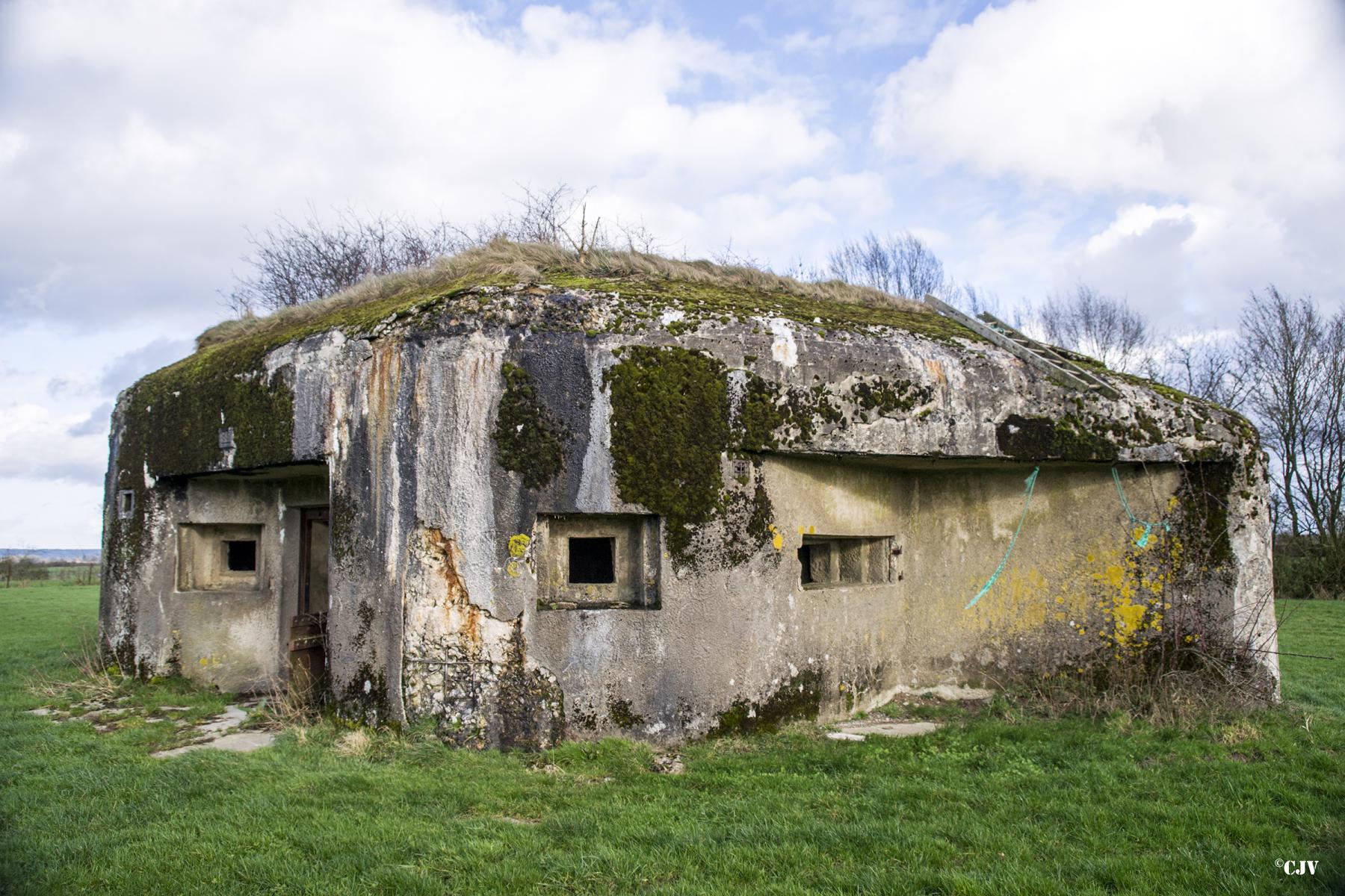 Ligne Maginot - B799 - L'ANGOUNERIE SUD - (Blockhaus pour canon) - 