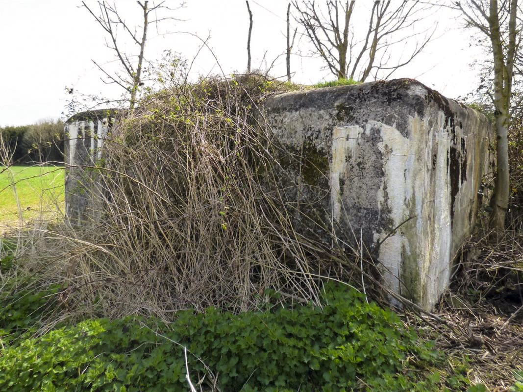 Ligne Maginot - B798 - L'ANGOUNERIE NORD - (Observatoire d'infanterie) - 