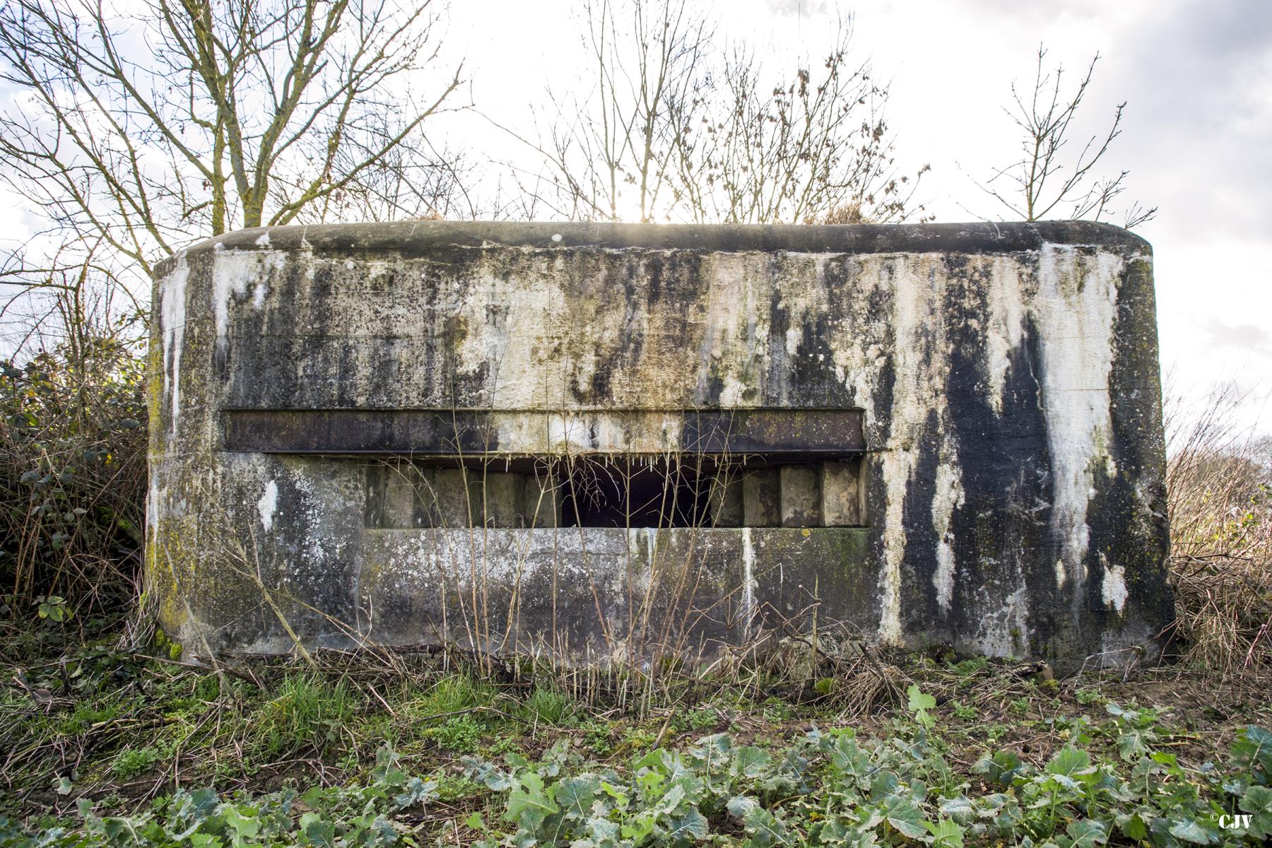Ligne Maginot - B798 - L'ANGOUNERIE NORD - (Observatoire d'infanterie) -  - Lia VERMEULEN