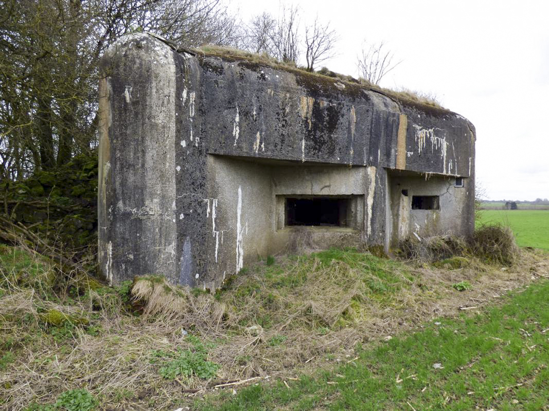 Ligne Maginot - A113 - DEMI LIEUE - (Casemate d'infanterie - Double) - 
