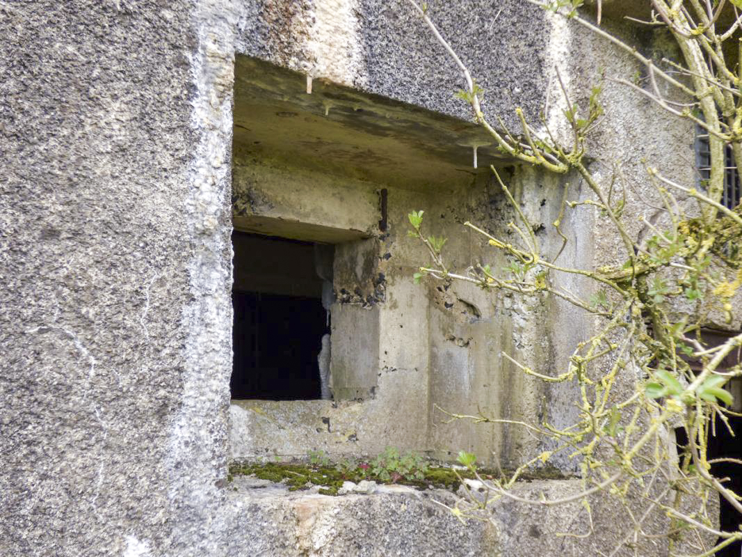 Ligne Maginot - A113 - DEMI LIEUE - (Casemate d'infanterie - Double) - 