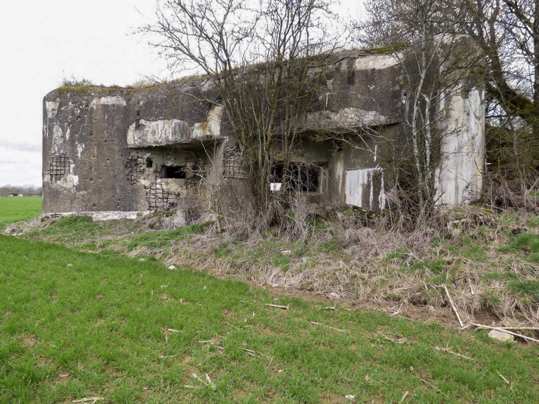 Ligne Maginot - A113 - DEMI LIEUE - (Casemate d'infanterie - Double) - 