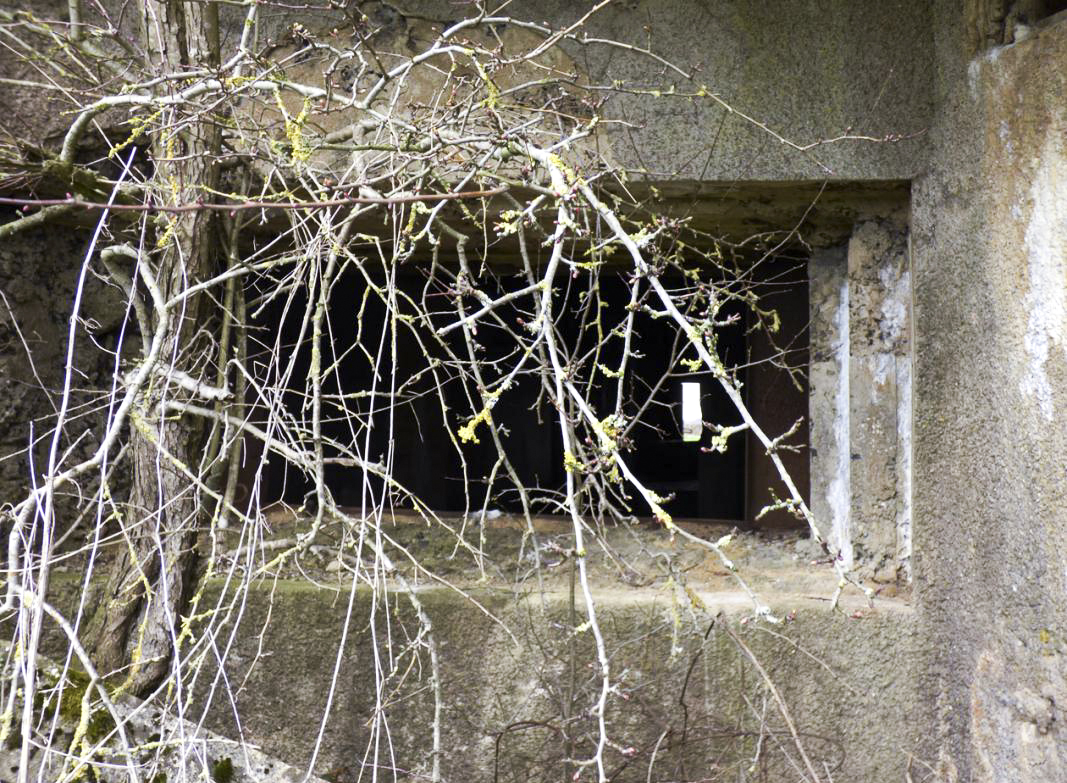 Ligne Maginot - A113 - DEMI LIEUE - (Casemate d'infanterie - Double) - 