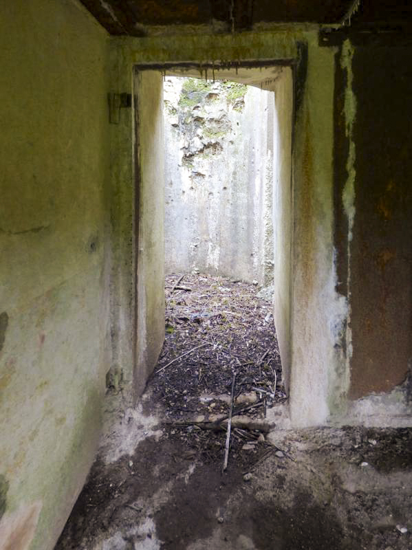 Ligne Maginot - A113 - DEMI LIEUE - (Casemate d'infanterie - Double) - 