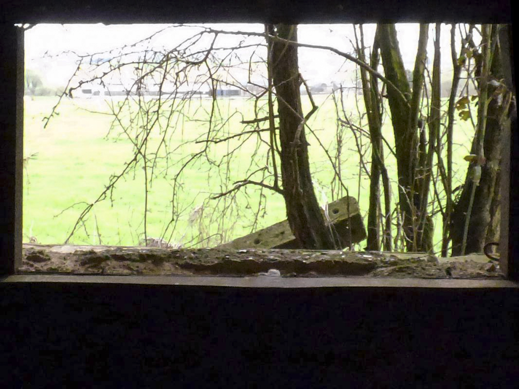 Ligne Maginot - A113 - DEMI LIEUE - (Casemate d'infanterie - Double) - 