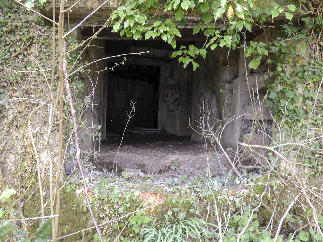 Ligne Maginot - A115 - LES CULEES SUD - (Casemate d'infanterie - Double) - 