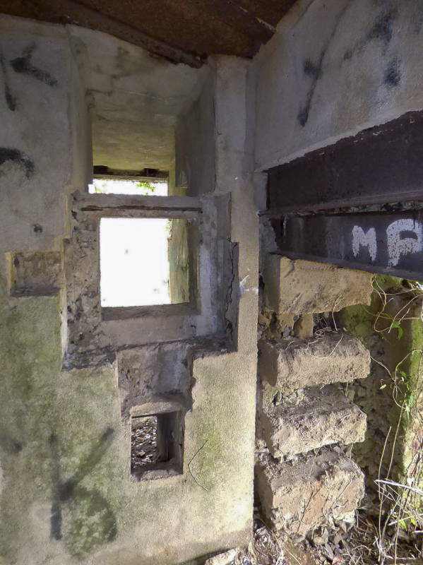 Ligne Maginot - A115 - LES CULEES SUD - (Casemate d'infanterie - Double) - 