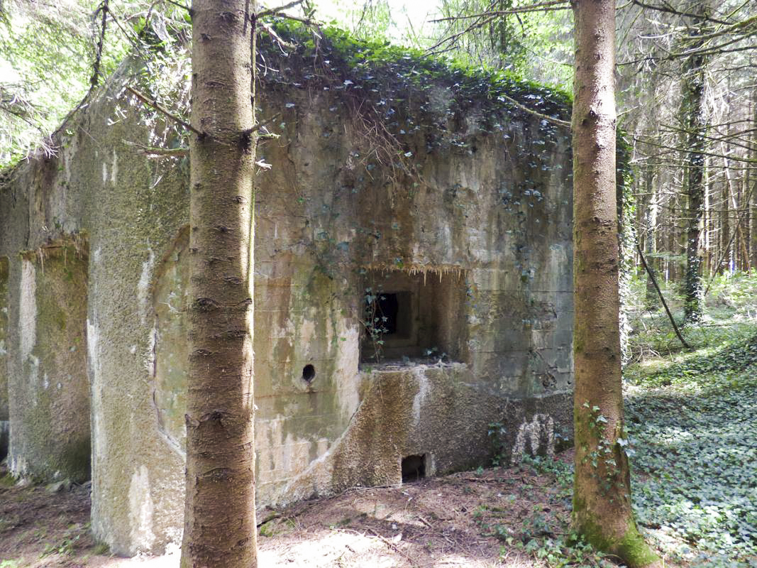 Ligne Maginot - A116 - LES ANORELLES - (Casemate d'infanterie - Simple) - L'embrasure de défense des abords