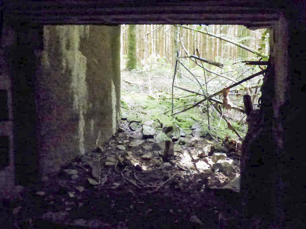 Ligne Maginot - A116 - LES ANORELLES - (Casemate d'infanterie - Simple) - L'entrée du matériel