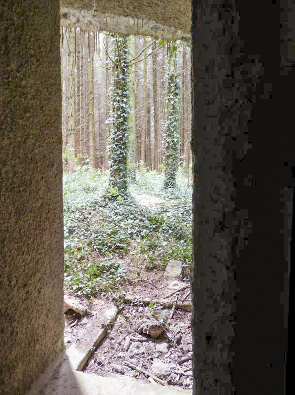 Ligne Maginot - A116 - LES ANORELLES - (Casemate d'infanterie - Simple) - L'entrée des hommes