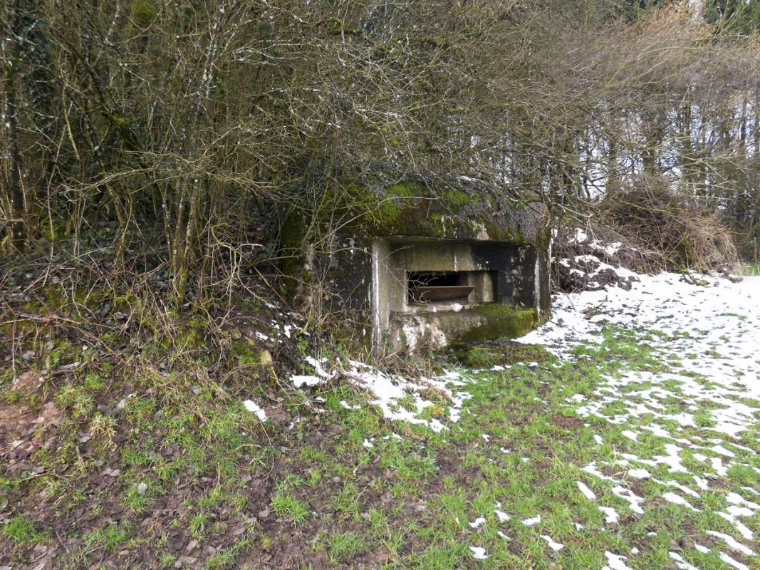Ligne Maginot - B822 - SAINT HUBERT - (Blockhaus pour canon) - 
