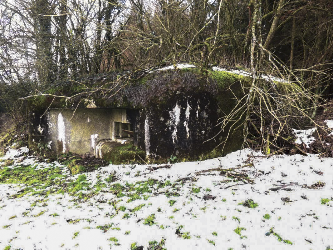 Ligne Maginot - B822 - SAINT HUBERT - (Blockhaus pour canon) - 