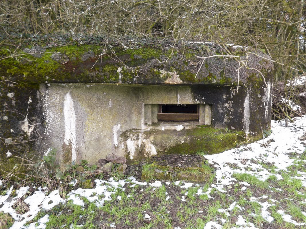 Ligne Maginot - B822 - SAINT HUBERT - (Blockhaus pour canon) - 