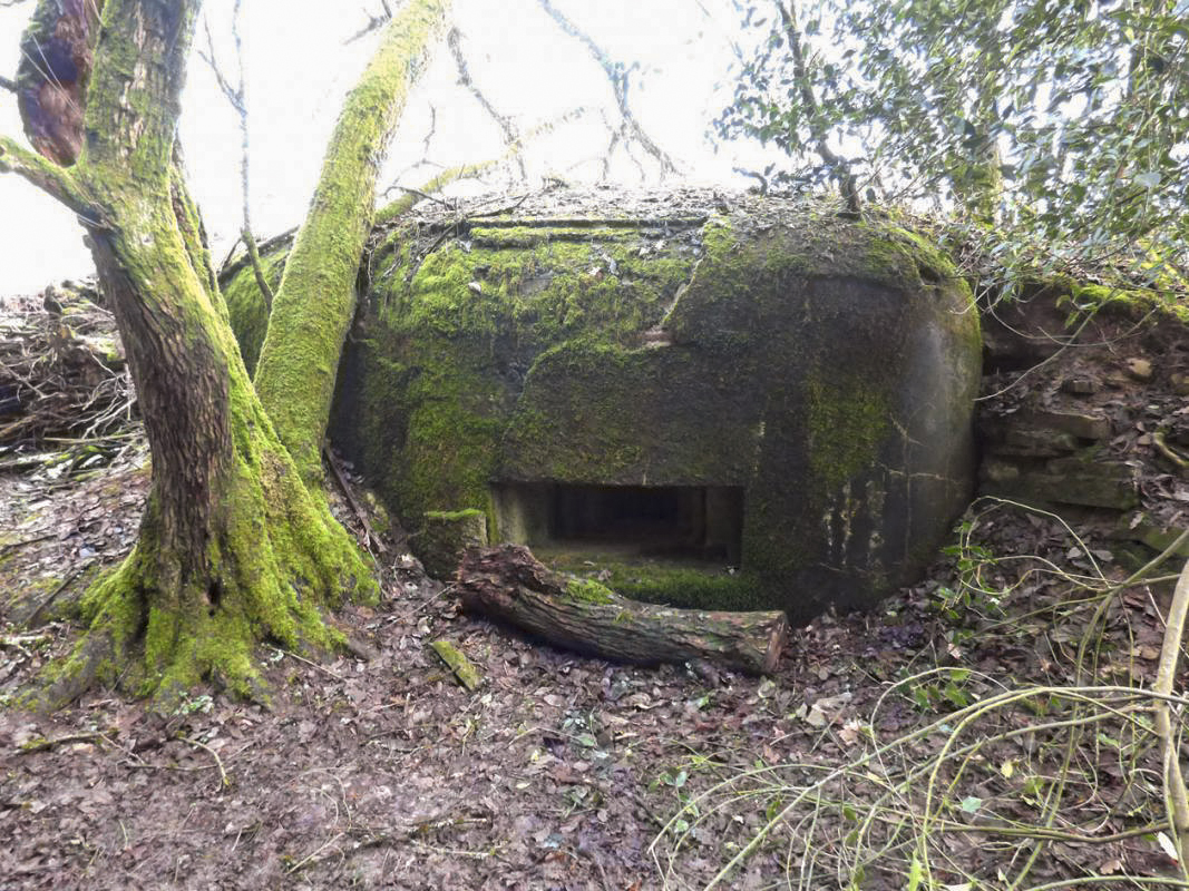 Ligne Maginot - B822 - SAINT HUBERT - (Blockhaus pour canon) - 