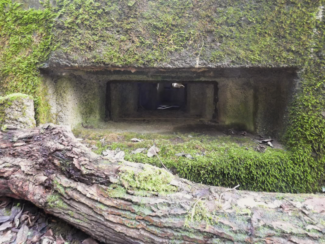 Ligne Maginot - B822 - SAINT HUBERT - (Blockhaus pour canon) - 