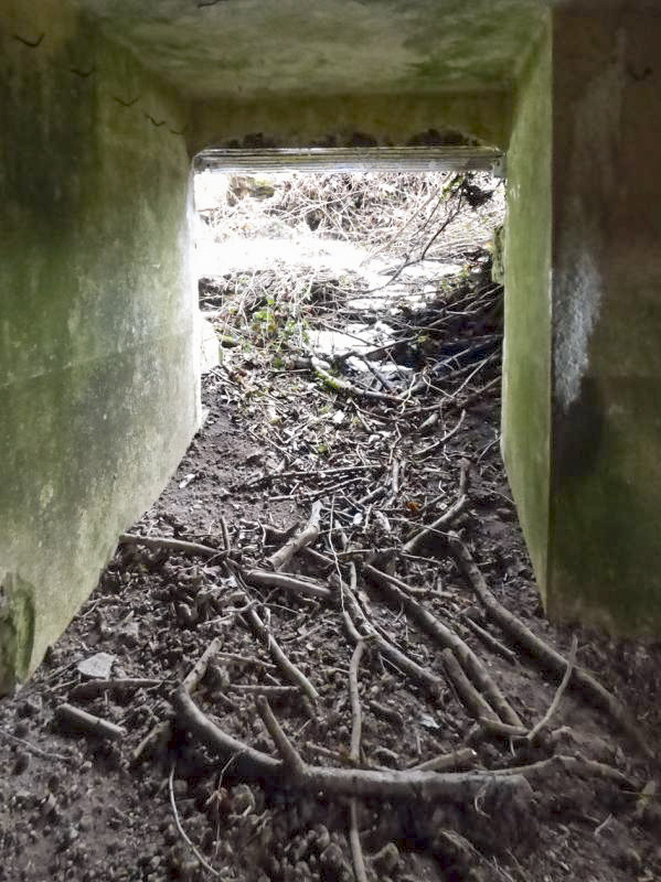 Ligne Maginot - B822 - SAINT HUBERT - (Blockhaus pour canon) - 