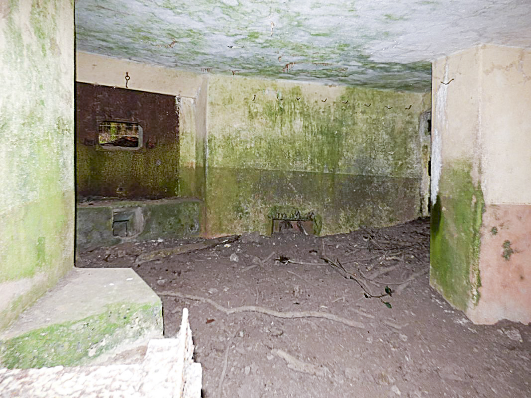 Ligne Maginot - B822 - SAINT HUBERT - (Blockhaus pour canon) -  - JMBrams