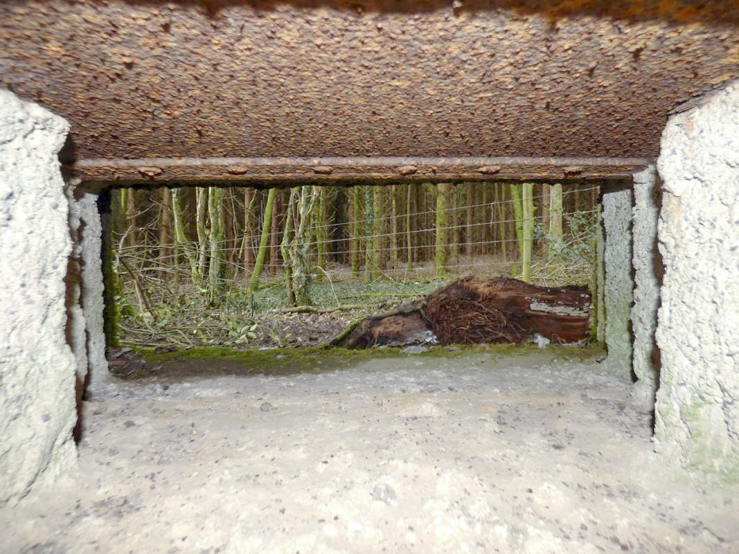 Ligne Maginot - B822 - SAINT HUBERT - (Blockhaus pour canon) - 