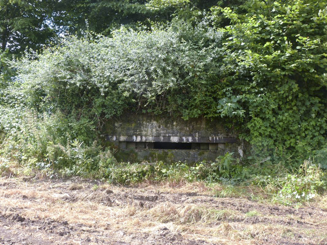 Ligne Maginot - B820 - LA TAILLE COLIN - (Observatoire d'infanterie) - 