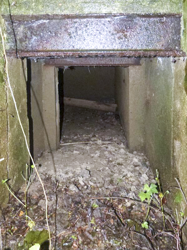 Ligne Maginot - B820 - LA TAILLE COLIN - (Observatoire d'infanterie) - 